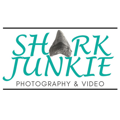 Shark Junkie