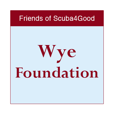 Wye Foundation